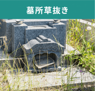 墓所草抜き